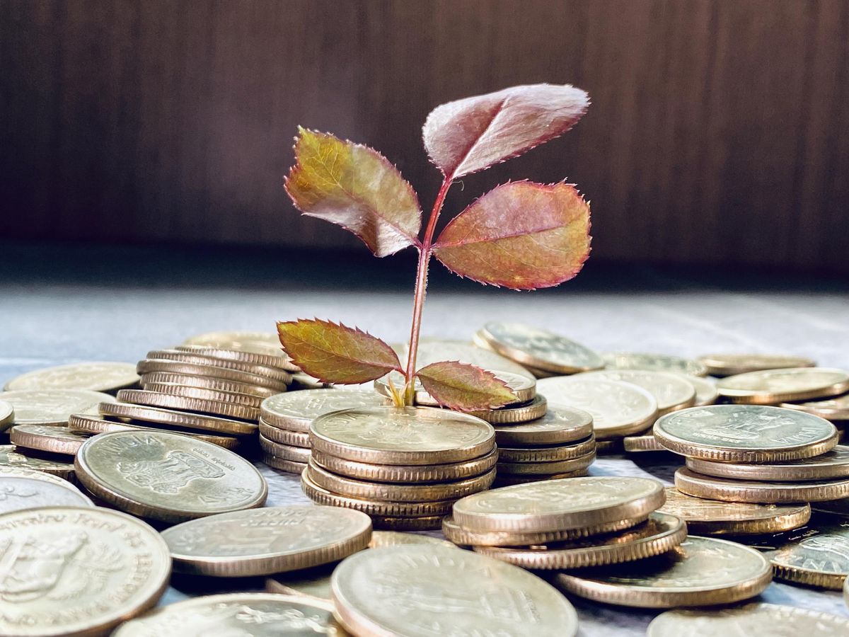 Jak pozyskać fundusze na rozwój projektów społecznych w województwie lubelskim